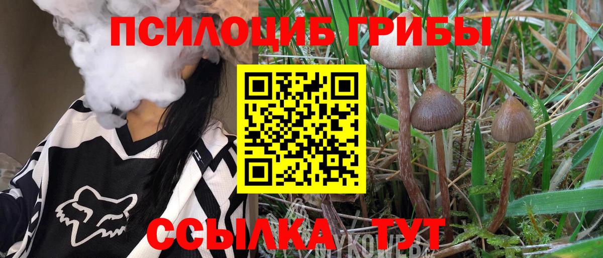 Галлюциногенные грибы Cubensis  Вход с VPN  Зима 